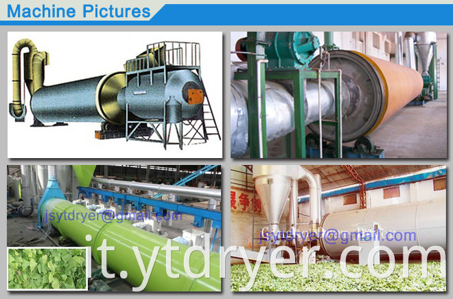 Plant Rotary Barrel Dryer